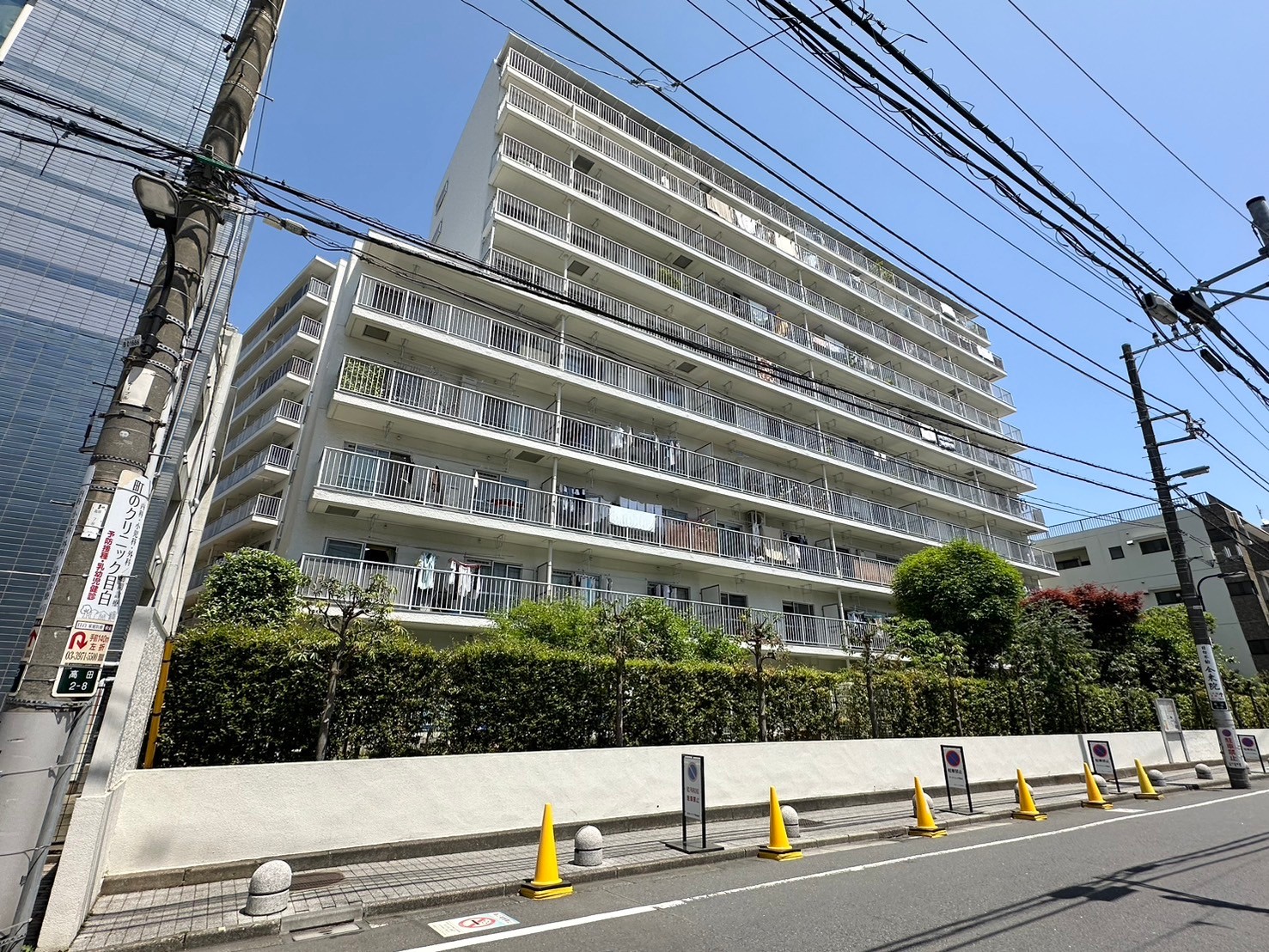 目白ガーデニア